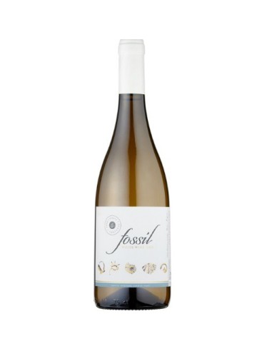 Fossil Vale da Capucha Branco 2017 75cl | Vale da Capucha