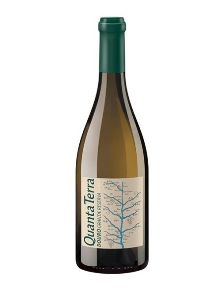 Quanta Terra Grande Reserva Branco 2017 | Quanta Terra Soc. Vinhos