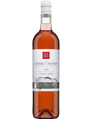 Campolargo Entre II Santos Ros&eacute; 2016 | Adega Campolargo