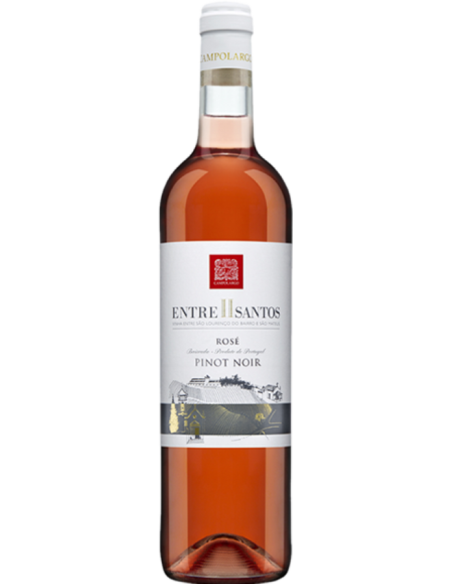 Campolargo Entre II Santos Ros&eacute; 2016 | Adega Campolargo