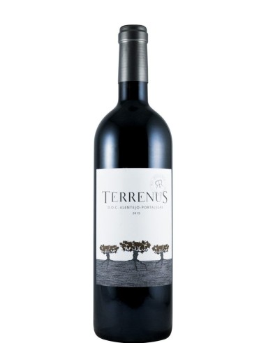 Terrenus Tinto 2015 75cl | Rui Reguinga