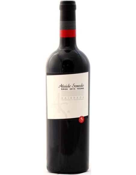 Ata&iacute;de Semedo Baga Young 2016 | Ata&iacute;de Semedo