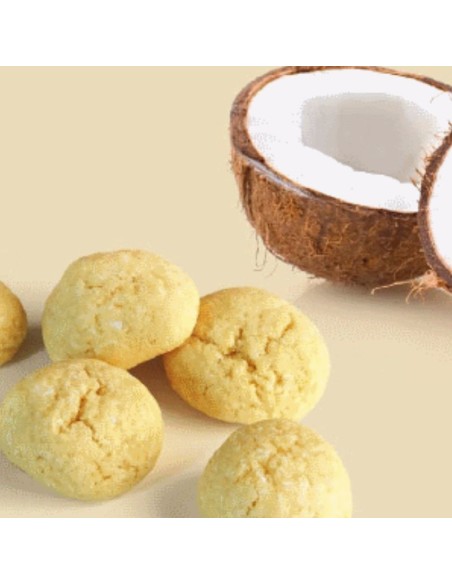 Biscoitos de Coco Amor de Biscoito 180g | Amor de Biscoito - Mata Bichos