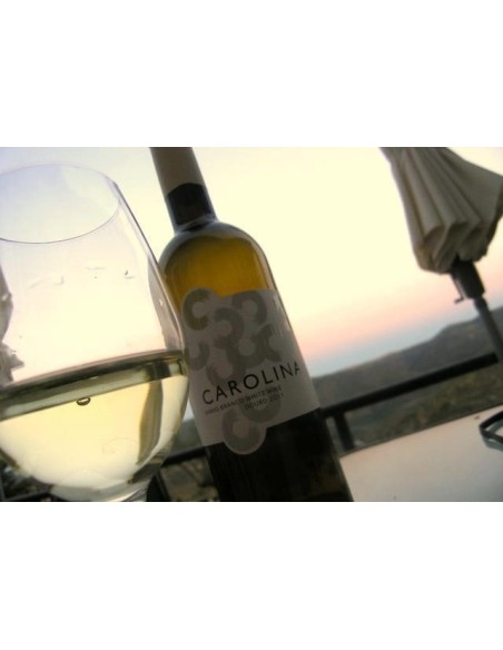Carolina Branco 2018 75cl | Quinta de Carolina Vinhos