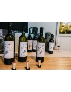 Quinta do Ata&iacute;de Vinha do Arco Touriga Nacional Tinto 2015 | Symington Family Estates 2