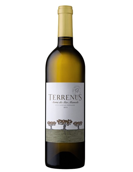 Terrenus White 2017 75cl | Rui Reguinga