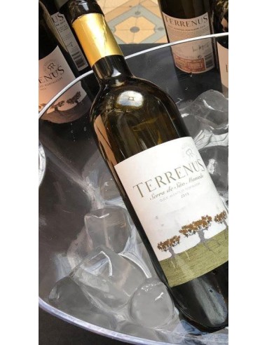 Terrenus White 2017 75cl | Rui Reguinga