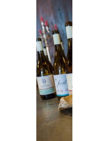 Fossil Vale da Capucha Branco 2017 75cl | Vale da Capucha