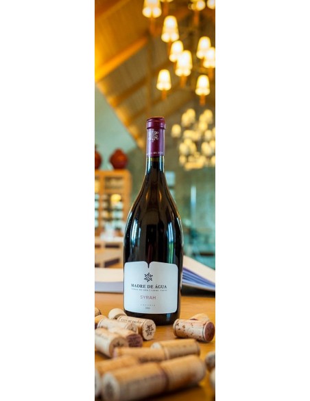 Madre de &Aacute;gua Experimentum Syrah Tinto 2018 | Madre de &Aacute;gua