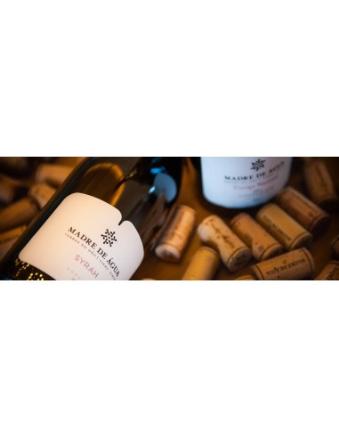 Madre de &Aacute;gua Experimentum Syrah Tinto 2018 | Madre de &Aacute;gua