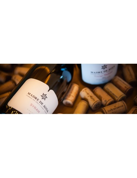 Madre de &Aacute;gua Experimentum Syrah Tinto 2018 | Madre de &Aacute;gua