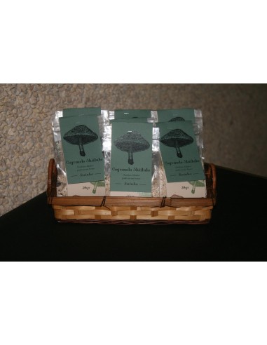 Farinha de Cogumelo 30g | Monte do Ganh&atilde;o