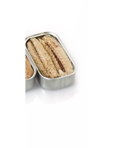 Miss Can TRADITIONAL Fillets of Mackerel em olive oil | Miss Can
