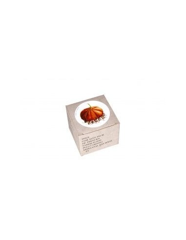 Compota de Ab&oacute;bora com Nozes Jose Gourmet 250g | Jose Gourmet