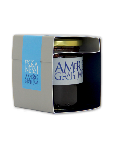 Compota de Uva Americana Santa Gula 250ml | Santa Gula