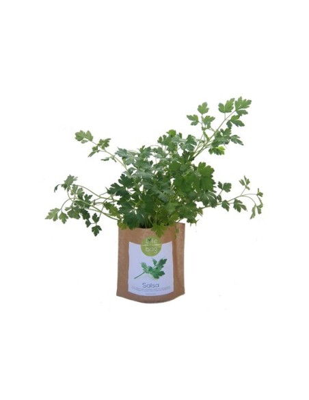 Grow Bag Salsa | Life in a Bag