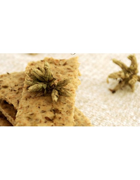 Crackers Oreg&atilde;os Mata-Bicho 120g | Amor de Biscoito - Mata Bichos