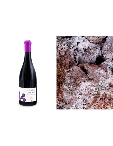 Casa de Mouraz Private Selection Red 2015 | Casa de Mouraz