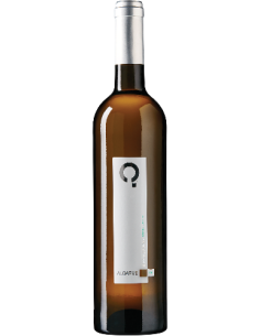 Barranco Longo Grande Escolha Branco 2020 | Quinta do Barranco Longo