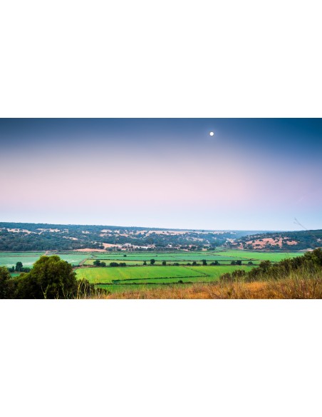 Loverice - Arroz Ronaldo 1kg | Herdade do Portocarro