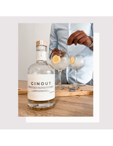 Ginout 50cl | Up Craft Spirits