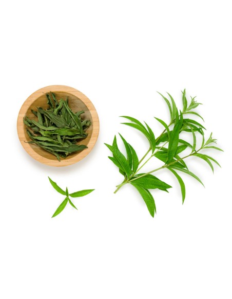 Infus&atilde;o L&uacute;cia-Lima Soalheiro 20 saquetas 17g