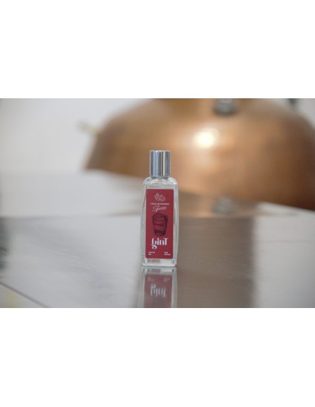 GinT Spirit - 50ml Spray Aromatizante