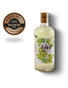 GinT Spirit 700ml