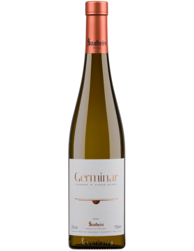 Conceito &nbsp;Branco 2015