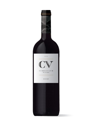 CV Curriculum Vitae Tinto 2019
