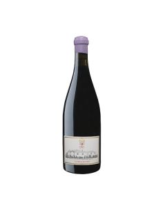 Quinta da Pellada Alfrocheiro