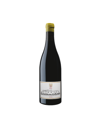 Quinta da Pellada Jaen Magnum