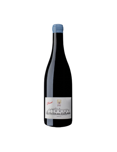 Quinta da Pellada Pinot Noir