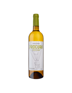 Procura White 2019