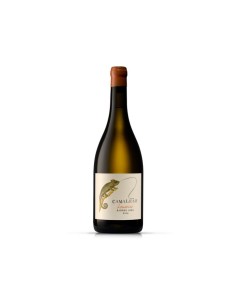 Camale&atilde;o Loureiro Oaked...