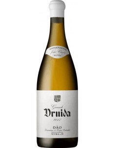 Grande Druida Encruzado...