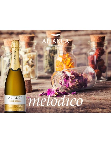 Sparkling Wine Alian&ccedil;a Baga Bairrada Reserva Bruto | Alian&ccedil;a