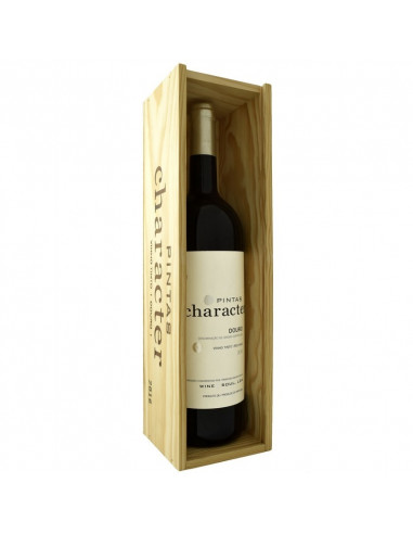 Pintas Character 2020 Magnum Box