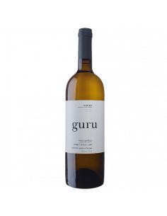 Guru 2020 Magnum com caixa