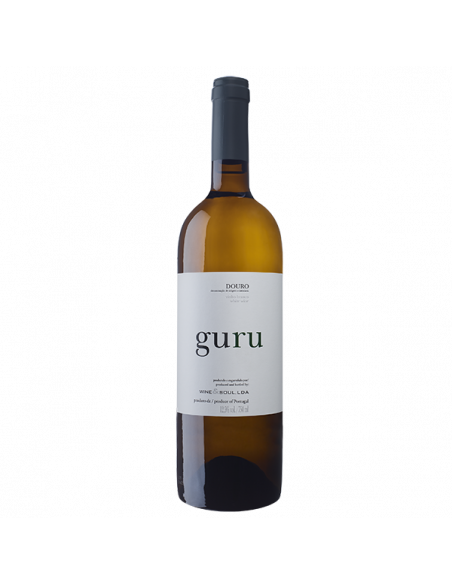 Guru 2020 Magnum com caixa