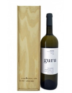 Guru 2020 Magnum com caixa 2