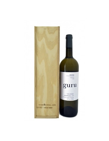 Guru 2020 Magnum com caixa