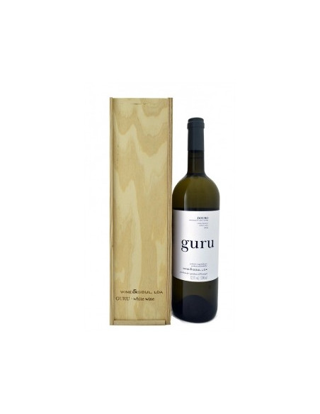 Guru 2020 Magnum com caixa