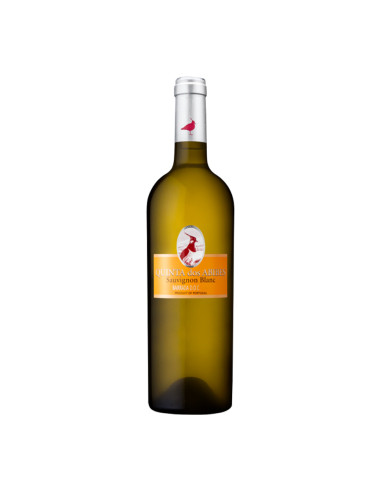 Quinta dos Abibes Sauvignon Blanc