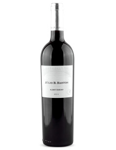 J&uacute;lio B. Bastos - Alicante...