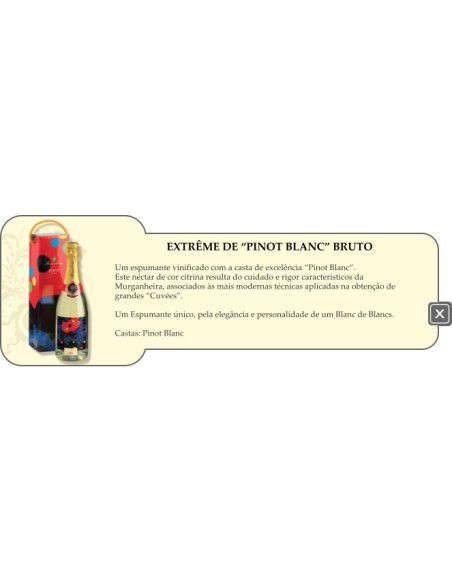 Sparkling Wine Murganheira Vintage Pinot com caixa | Murganheira