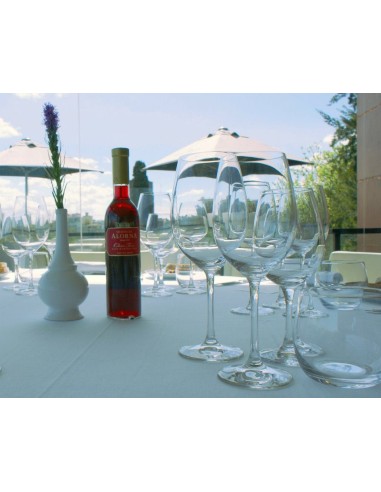 Quinta da Alorna Colheita Tardia Tinto 2013 37,5cl | Quinta da Alorna