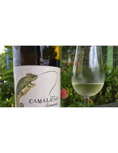 Camale&atilde;o Branco 2018 | Young Winemakers 2