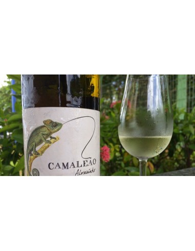 Camale&atilde;o Branco 2018 | Young Winemakers