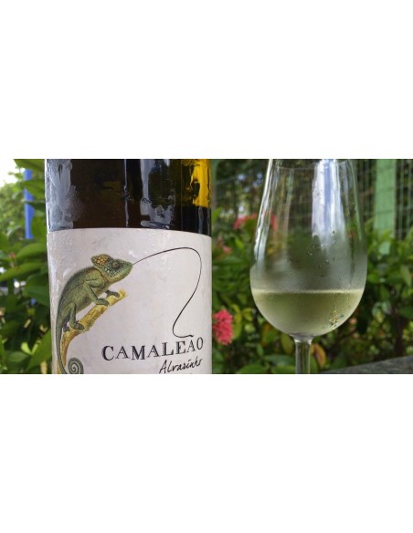 Camale&atilde;o Branco 2018 | Young Winemakers